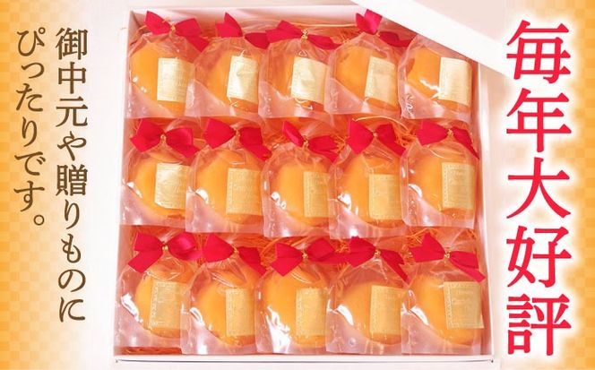 【2026年5月上旬〜発送】【夏季限定】茂木びわ ゼリー 15個入 / びわ ビワ ゼリー フルーツ 果物 ギフト 贈答 お中元 / 南島原市 / 本田屋かすてら本舗 [SAW041]