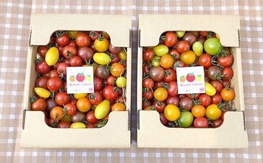 【2027年発送】約2kg！まるでトマトの宝石箱！フルーツジュエリートマト 4月～6月発送 長田農園 産地直送 カラフル トマト とまと 野菜 やさい フルーツ サラダ 濃厚 甘い ご褒美 プレゼント 美容 健康 リピート多数 人気 高評価 先行受付 数量限定 碧南市 H004-238
