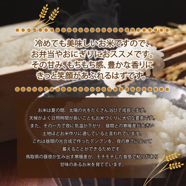 1106.令和7年産　大上農園きぬむすめ玄米 5kg 313726_CI003