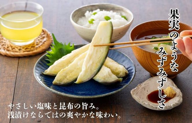 010B1970 よみがえった泉佐野の味 水なす浅漬け6個【泉州 泉佐野産 水ナス 水茄子 ぬか漬け 漬物】