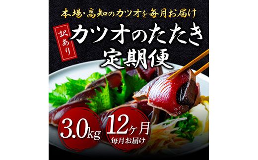 【CF-R7hbk】t093kyf　《12ヵ月定期便》「訳あり カツオのたたき 3.0kg」故郷納税【順次発送中】規格外 サイズ不揃い 傷 わけあり 人気 ランキング 本場 高知 土佐 かつおのたたき 返礼品 カツオのタタキ かつおのタタキ 訳アリ 訳 海鮮 【koyofr】