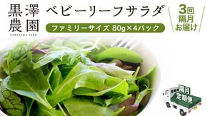 【 定期便 】全3回隔月でお届け！ 黒澤農園 の ベビーリーフサラダ （ 80g × 4パック ）ファミリーサイズ ベビーリーフ サラダ 生野菜 食べやすい 若葉 ファミリー 旬 新鮮 国産 彩り 頒布会 野菜 葉野菜 国産 直送 定期 [DS05-NT]