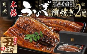 【丑の日】職人手焼きの本格うなぎ蒲焼き2尾≪7月20日～25日お届け≫_MJ-33-003-2-UG 