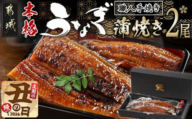 【丑の日】職人手焼きの本格うなぎ蒲焼き2尾≪7月20日～25日お届け≫_MJ-33-003-2-UG 
