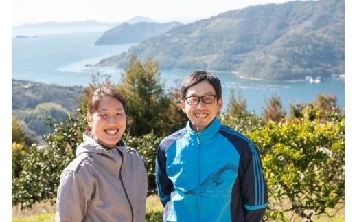 【先行予約】いのうえ農園の今津ポンカン 5kg ※離島への配送不可（2026年2月上旬より順次発送） IKTAI004