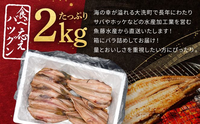 ほっけ 干物 2kg 箱詰め 縞ほっけ 開き ひもの 大洗町 焼魚 焼き魚 魚 魚介 海鮮 海産物 冷凍 工場直送 おかず おつまみ
