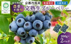 【数量限定】完熟ブルーベリー 生果 200g×2パック（栽培期間中農薬・化学肥料・除草剤不使用）（2027年7月上旬～発送）　KU00095