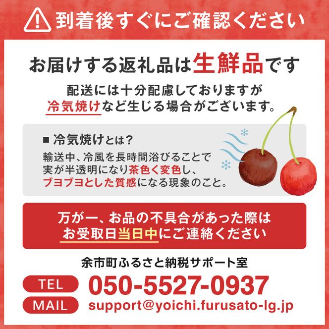 【先行予約2026年7月上旬より発送】余市の砂川果樹園が贈る もぎたて直送さくらんぼ 佐藤錦 2kg箱_Y033-0039