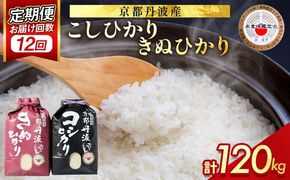 【寄附額改定】【定期便】米 京都丹波米10kg (こしひかり5kg・きぬひかり5kg) ×12回 計120kg〇12ヶ月 12回定期便 コシヒカリ・キヌヒカリ 各5kg※精米したてをお届け 白米※北海道・沖縄・離島への配送不可【～3月31日まで】