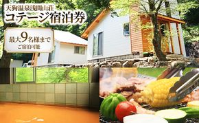 【赤褐色の秘湯入浴券付】天狗温泉浅間山荘ロフト付きコテージ宿泊券 旅行券 9名分 食事なし 