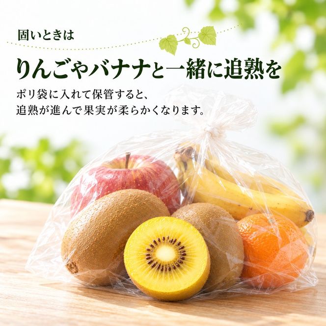 キウイ キウイフルーツ さぬきゴールドキウイ ゴールデンキウイ ゴールドキウイ 香川県産 国産 約3.5kg L～4Lサイズ 16～24玉 大玉 香川県オリジナル品種 追熟 食べごろ 甘い 朝食 デザート フルーツ 果物 くだもの 果実 香川県 東かがわ市 46312064