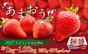 博多あまおう（春） 約250g～270g×4パック 計約1kg～1.08kg【2027年2月上旬-4月下旬発送予定】いちご 苺 イチゴ 果物 フルーツ