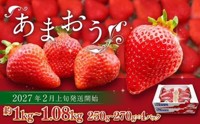 博多あまおう（春） 約250g～270g×4パック 計約1kg～1.08kg【2027年2月上旬-4月下旬発送予定】いちご 苺 イチゴ 果物 フルーツ