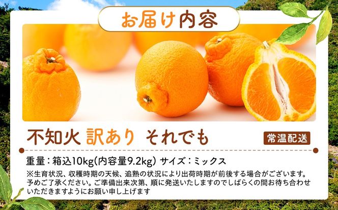 不知火 訳あり それでも 有田の不知火 箱込 10kg (内容量約 9.2kg) サイズミックス和歌山県産 産地直送［みかんの会］ 	AX247