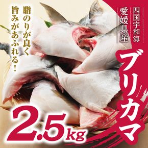 数量限定 ブリカマ 2.5kg 10000円 冷凍 サイズ 不揃い ぶりかま ぶりカマ 鰤かま 食べ物 旬 お手軽 魚海鮮 魚介 父の日 小分け 真空 パック 新鮮 鮮魚 養殖 国産 鰤 ぶり ブリ お取り寄せ ギフト プレゼント おつまみ アテ おかず カマ 塩焼き 煮物 あらだき あら煮 肉 厚 規格外 人気 ハマスイ 愛南町 愛媛県