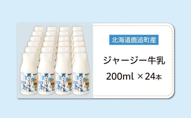 ジャージー牛乳 200ml ×24 SKM058