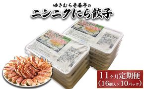 【11ヶ月定期便】ゆきむら壱番亭のニンニクにら餃子10パック(160個入り) ※離島への配送不可