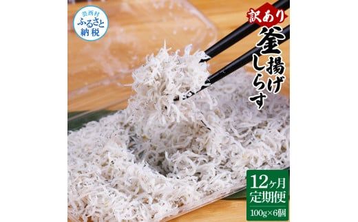 【CF-R7hbk】t190mmk　〈12ヶ月定期便〉訳あり 釜揚げシラス 100g×6個 定期便 定期コース 12ヶ月 しらす シラス 釜揚げ 新鮮 塩分控えめ 離乳食 わけあり ワケあり 不揃い しらす丼 海鮮丼 お茶漬け