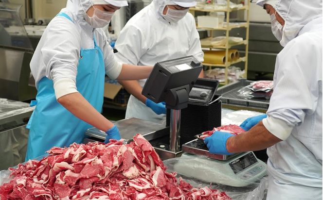 【定期便3ヶ月】淡路牛 切り落し　1.2kg (300g×4パック）小分け 切り落とし 冷凍 牛肉