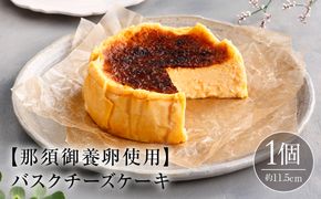 ns002-026 バスクチーズケーキ