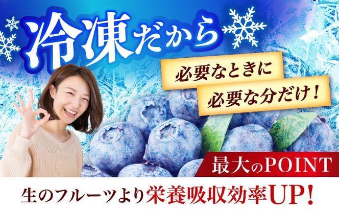 築上町産 冷凍 ブルーベリー 1kg 《築上町》【(有)工房よしかわ】国産 ブルーベリー [ABAK001]