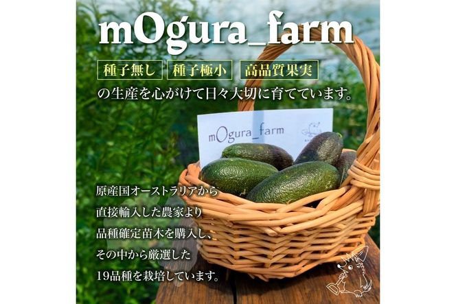 フィンガーライム　70g 【0094-003】