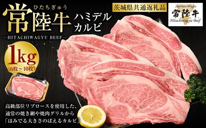 【常陸牛】ハミデルカルビ1kg（6枚～10枚）（茨城県共通返礼品 茨城県産）