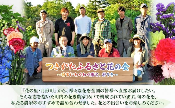 ＜2026年9月～11月まで3ヵ月連続お届け＞北海道 花 詰め合わせ 4品種 20本以上 切り花 切花 花束 ブーケ 季節 旬 生花 フラワー アレンジメント 記念日 産地直送 