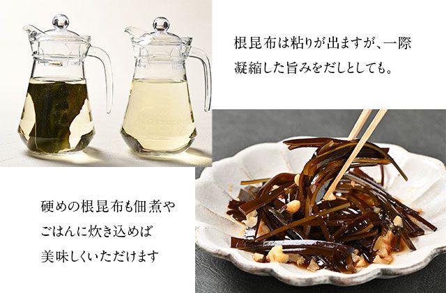 北海道礼文島産 根昆布 900g（300g×3個） 魚貝類 こんぶ 