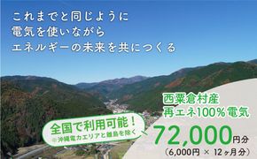 電気料金 （6,000円?12ヶ月分） 百森でんき CO2フリー 地域電力 お礼の電気 脱炭素 ゼロカーボン 岡山県 西粟倉村 【まずは寄付のお申し込みを！】e-vv-A05D