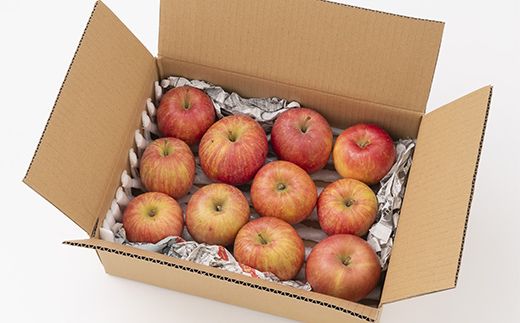 FYN6-597 ご家庭用 山形県産 品種おまかせ りんご 赤色系 約3kg 2026年10月中旬から順次発送 果物 くだもの フルーツ 林檎 リンゴ アップル 秋果実 生産者支援 農業者支援 支援品 自宅用 家庭用 訳アリ ワケアリ 山形県 西川町 月山