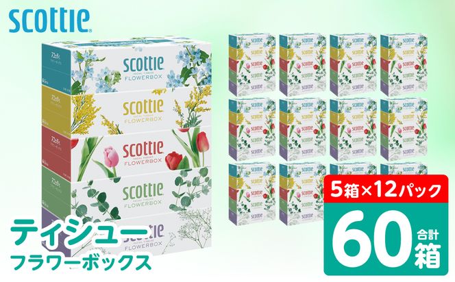 【スコッティ】 ティシュー フラワーボックス 250組 60箱 ティッシュ 日用品 生活必需品 防災備蓄 ストック 備蓄 新生活 防災 消耗品 生活用品 日用消耗品 箱ティッシュ 