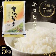 【寄附額改定】【令和7年産】京都丹波・亀岡産 キヌヒカリ 5kg 米 白米 ※精米したてをお届け《契約栽培米 米・食味鑑定士厳選 きぬひかり 京都丹波産 数量限定 訳あり 簡易包装》※北海道・沖縄・離島への配送不可【～3月31日まで】