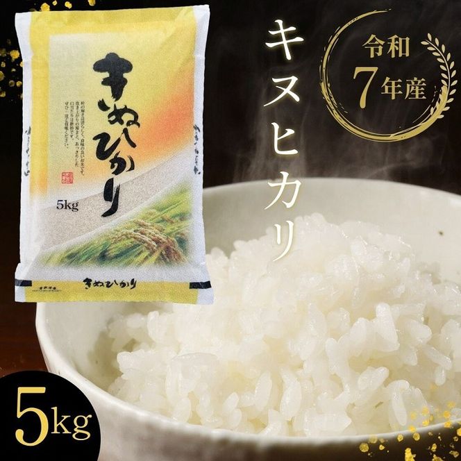 【寄附額改定】【令和7年産】京都丹波・亀岡産 キヌヒカリ 5kg 米 白米 ※精米したてをお届け《契約栽培米 米・食味鑑定士厳選 きぬひかり 京都丹波産 数量限定 訳あり 簡易包装》※北海道・沖縄・離島への配送不可【～3月31日まで】