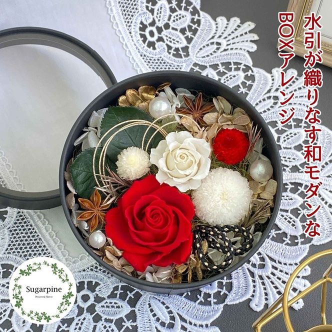 yʌtszvU[uht[@Di݂j@ts@VK[pC(AJ243)