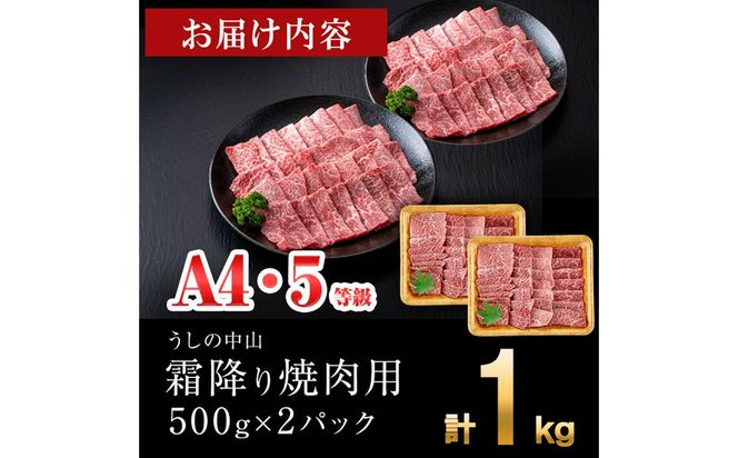 ＜A4・A5等級＞鹿児島県産黒毛和牛 うしの中山 霜降り焼肉用 計1kg(500g×2P) c9-005