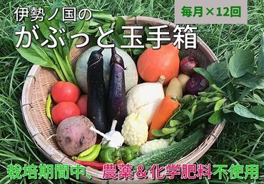 【12-31】伊勢ノ国のがぶっと野菜玉手箱　：　月1回定期便（大人4人1週間分）12回