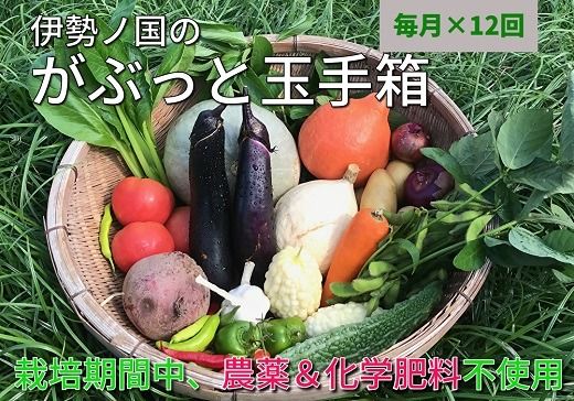 yOdszy12-31zɐm̂ԂƖ؋ʎ蔠@F@1ցil4l1Tԕj12