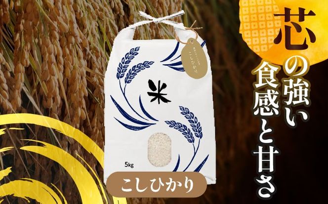 令和6年産　新米　愛知県産コシヒカリ　白米5kg　特別栽培米　ご飯　精米／戸典オペレーター[AECT020]