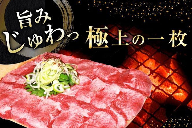 牛タン 薄切り 訳あり 塩味薄切り牛タン 500g 1P 計500g [上球磨農産 熊本県 五木村 51120345] 牛たん たん 塩牛タン 味付け肉 塩味 牛 牛肉 肉 焼肉 BBQ おすすめ 焼き肉 焼肉用 小分け 冷凍