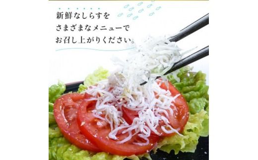 「太陽のしらす干し」 訳あり しらす干し 1kg 愛知県産 箱入　冷凍