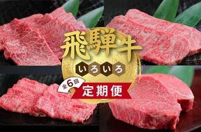 飛騨牛いろいろ定期便 毎月お届け全6回 サーロイン お肉 牛肉 ステーキ 焼肉 バーベキュー ※離島への配送不可