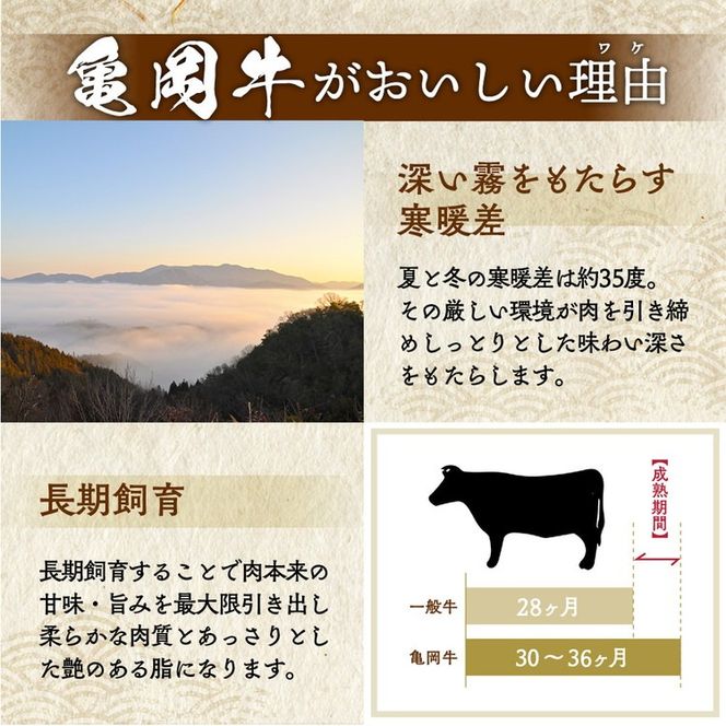 【全6回定期便】亀岡牛 定期便 亀岡牛専門店が厳選 お楽しみ 食べ比べ セット ≪冷凍 焼肉 すき焼き サーロイン ステーキ ローストビーフ 赤身 もも 肉 牛肉 国産牛 黒毛和牛 肉定期便 京都 丹波 BBQ 人気 おすすめ≫ ※離島への配送不可