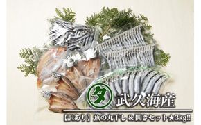 【訳あり】 名人が作る魚の丸干し＆開きセット 3kg 干物 国産 天然 ひもの 干物セット 訳アリ わけあり 魚 魚介 冷凍 新鮮 鮮魚 選抜 武久海産 丸干し 切り身 おつまみ おかず 人気 珍味 グルメ 規格外 国産 武久海産 愛媛 愛南	
