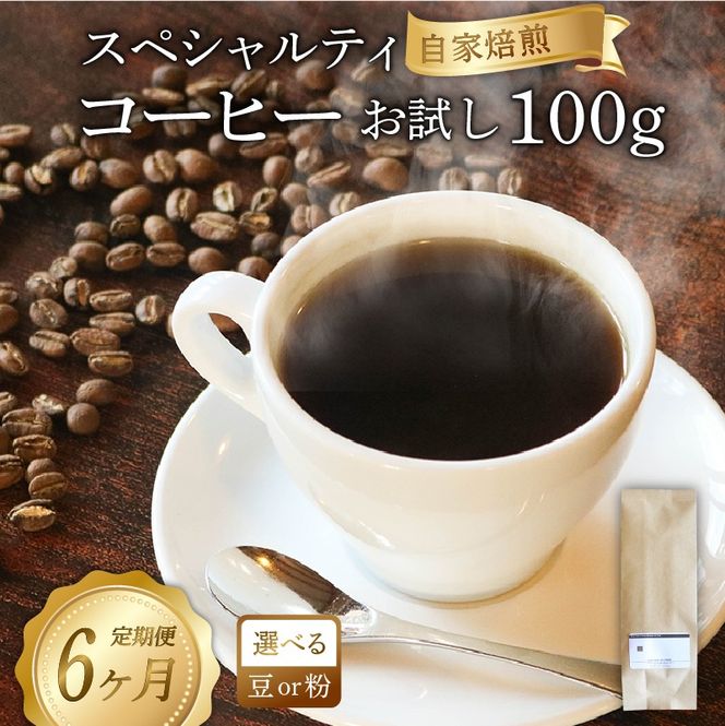 【6ヶ月定期便】品種おまかせ スペシャルティコーヒー お試し100g コーヒー コーヒー豆 [yoshino002_06]
