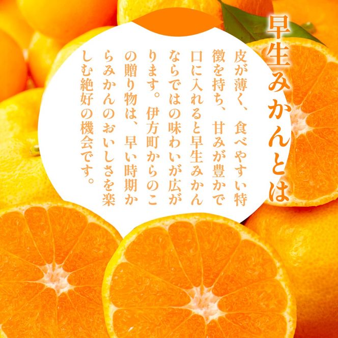 【先行予約】浅野農園の早生みかん 家庭用計5kg ※着日指定不可 ※離島への配送不可（2026年11月上旬～11月中旬頃に順次発送予定）IKTAC002