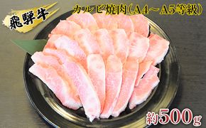 飛騨牛カルビ焼肉（A4～A5等級）約500g（約250g×2パック） お肉 牛肉 バーベキュー 