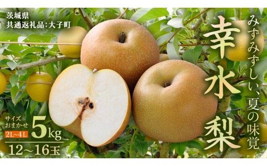 茨城県産 梨 幸水 サイズ おまかせ （2L～ 4L ） 5kg（ 12～16玉 ）【2026年8月中旬発送開始】 (茨城県共通返礼品：大子町) 梨 なし ナシ 果物 くだもの 季節 フルーツ デザート 旬果