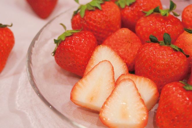 AJ437 【2025年12月発送開始】 いちご ほおばるベリー 約 500g ( 250g 2パック ) [ 苺 イチゴ 500g 甘い あまい おいしい ブランド フルーツ 果物 出田農円 長崎県 島原市 ] 