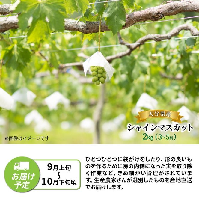 【先行予約】【令和8年発送】おおいたの豊潤シャインマスカット 約2㎏_1615Ｒ